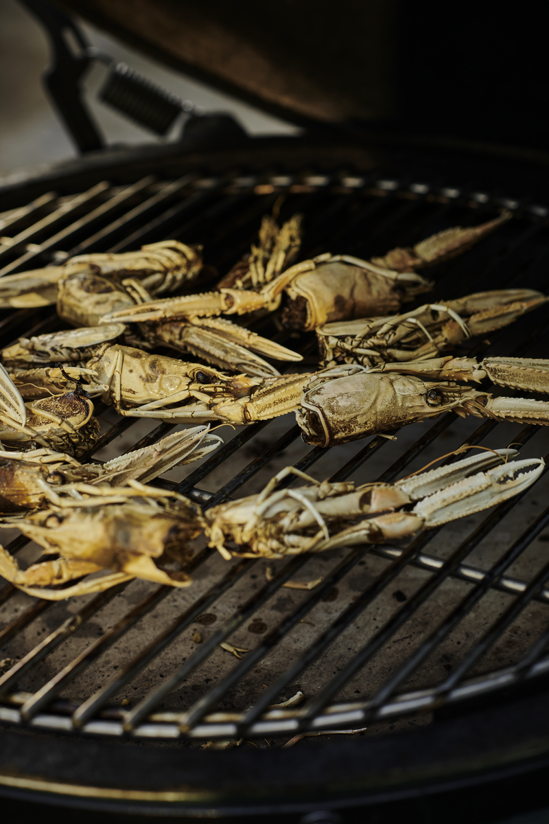 Talianske crostini s avokádovým šalátom a grilovanými langustami
